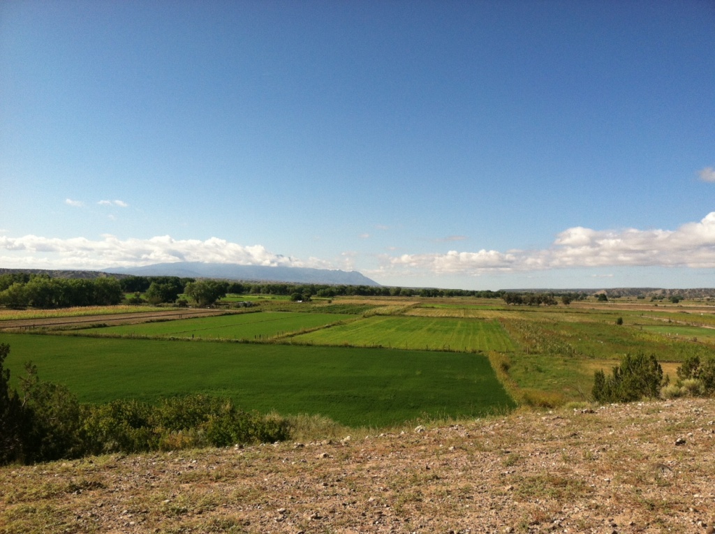 Irrigation The new irrigation system helps the Santo Domingo Pueblo's water supply go farther. More than 300 acres of farmland that used to lay fallow is now supporting a variety of crops.