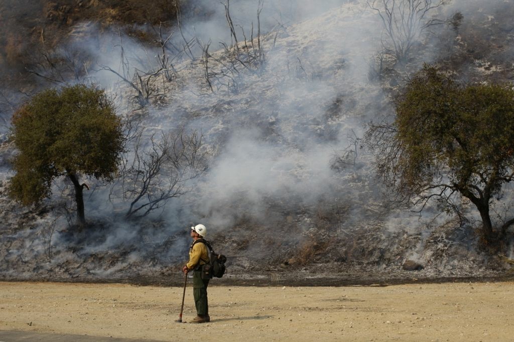 Williams Fire Burns In The Angeles National Forest A U.S. Forest Service firefighter stands near a smoldering hillside at the Williams fire in the Angeles National Forest on Sept. 4, 2012 north of Glendora.