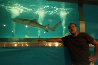 Mercer 20853 Shark handler Phillip Peters travels around the country with live sharks, and for your amusement, dives into his 5,000 gallon salt-water tank WITH HIS SHARKS for daily performances at the LA County Fair through September.
