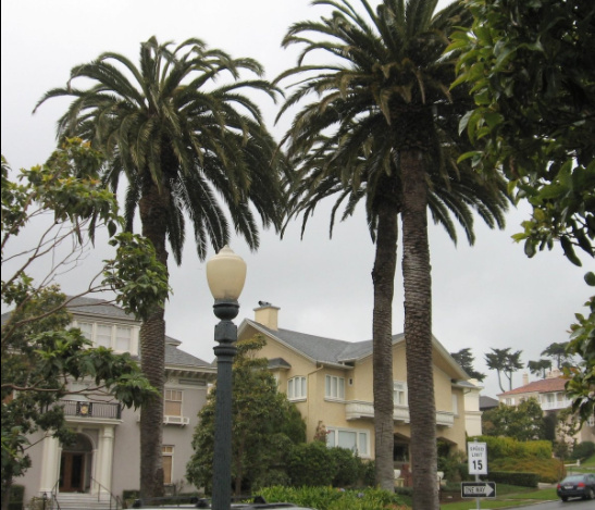 A 2008 photo shows Presidio Terrace, a gated community in San Francisco. A San Jose couple bought the street — a private road — after the homeowners association failed to pay a tax bill.