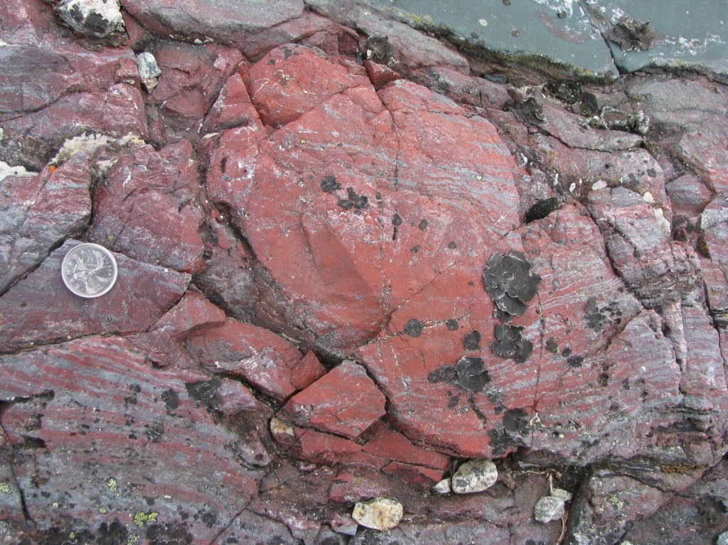 image-1-nsb-jasper_nodule_elsevier_copyrighted-7902e3d47f27d14895bb5157b13eaf6454489abe-s1200.jpg A layer of rock from the Nuvvuagittuq Supracrustal Belt, Québec in Canada, contains string-like shapes that could be the remains of life forms from 3.7 billion years ago.