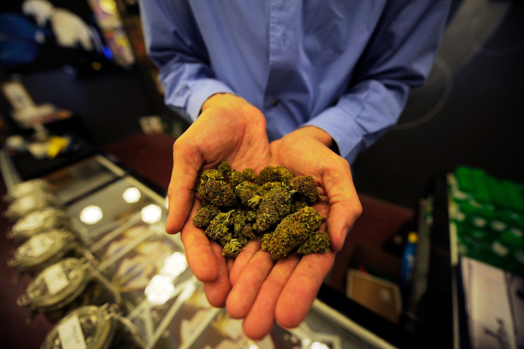Tim Blakeley, manager of Sunset Junction medical marijuana dispensary, shows marijuana plant buds on May 11, 2010 in Los Angeles, California.