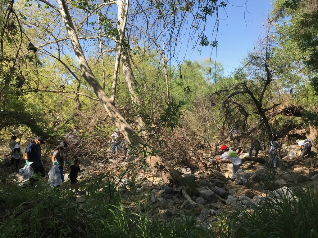 Volunteers pull garbage from the riverbank. Photo credit: Audrey Alden
Volunteers pull garbage from the riverbank. Photo credit: Audrey Alden
