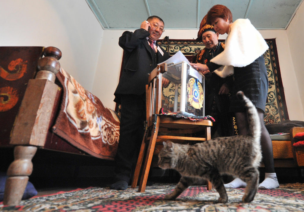 Election day slideshow A government of the cats, by the cats, for the