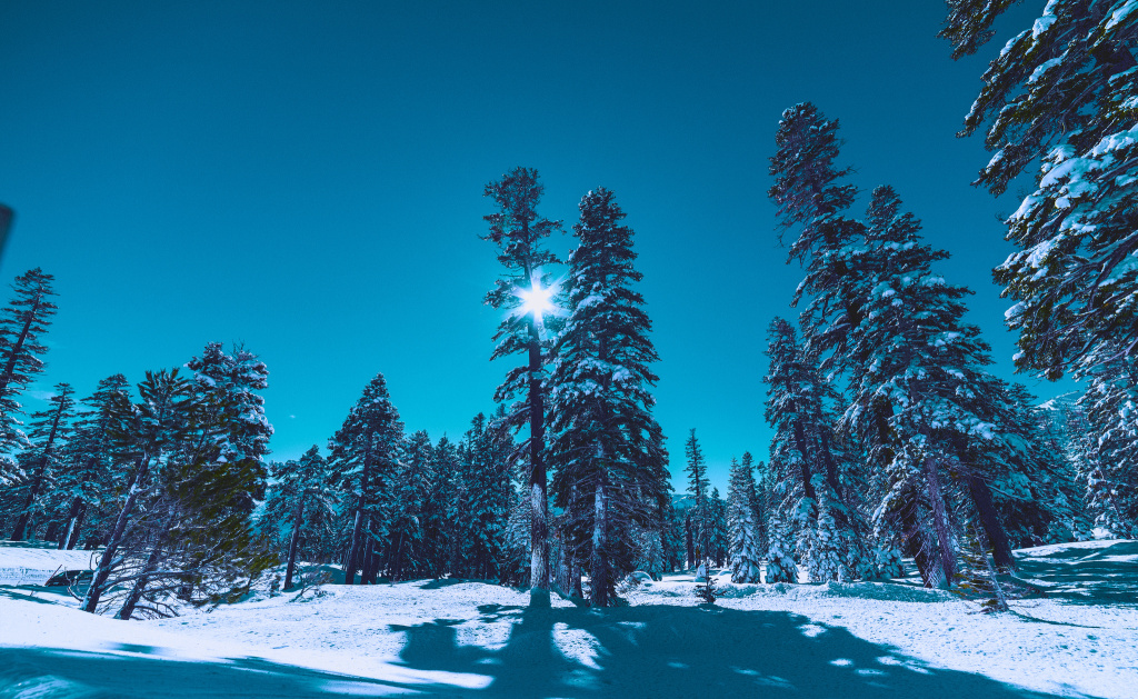 mammoth snow lowmillerdesign.com