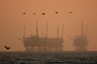 California brown pelicans fly around offshore oil rigs near Santa Barbara.