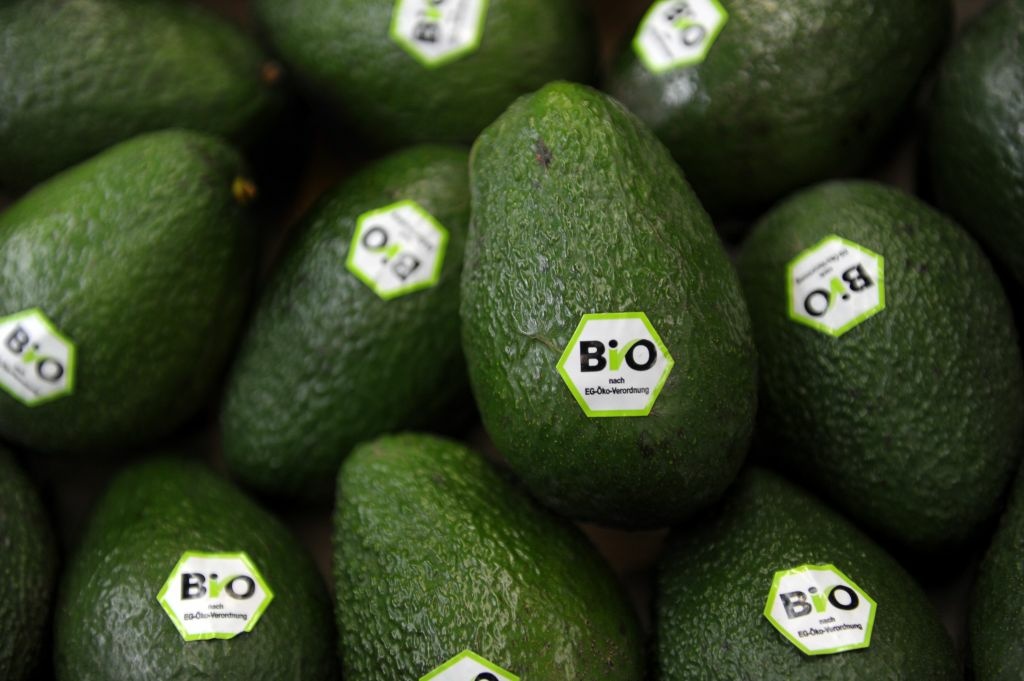 Avocados are labelled with the European Avocados are labelled with the European Union's logo for organic food on February 15, 2012 at the BioFach trade fair for organic products in Nuremberg, southern Germany.