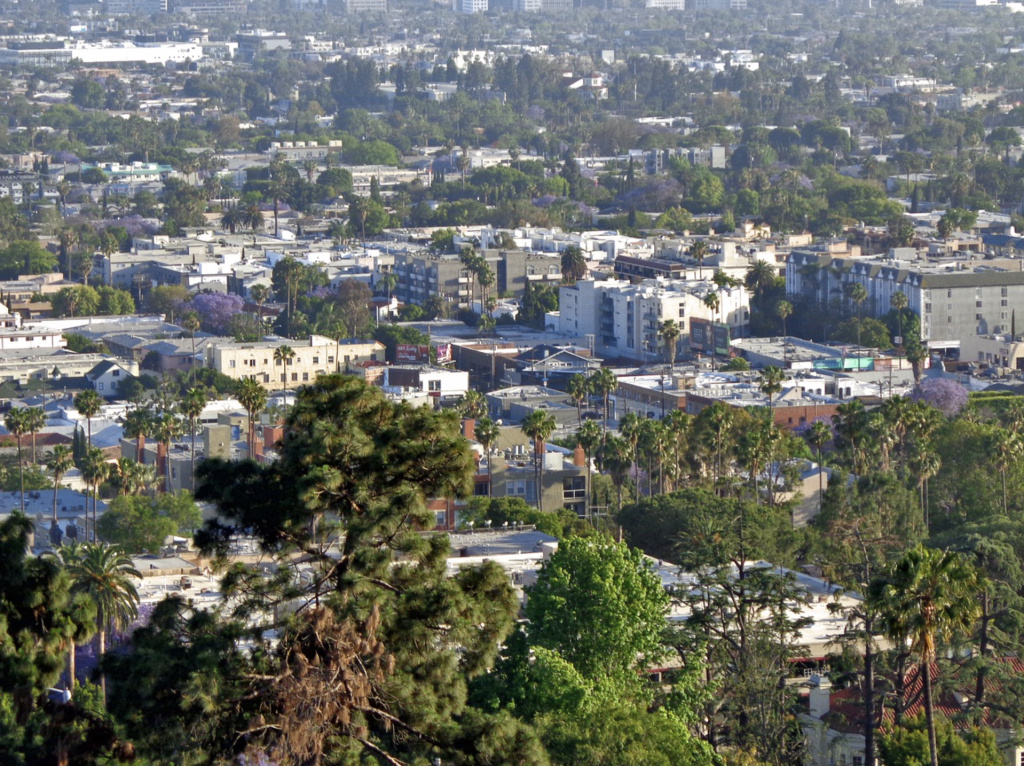 urban forest More than a million trees makes up Los Angeles's urban forest.
