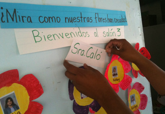 Specialized teachers teachers at Mar Vista's Grand View Elementary School handle eight classes with curricula in English and Spanish.