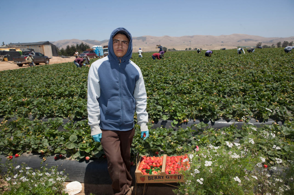 Walmart Strawberry Supply Chain Juan, a migrant worker, poses for a portrait on a farm operated by Better Produce north of Santa Maria, Calif.