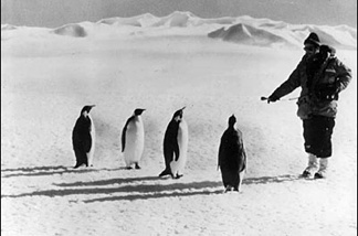 Mercer 7959 This is what a PR picture should look like. The reporter out in the field. In this case, NPR's Talk of the Nation Science Friday host Ira Flatow with, you know, penguins.