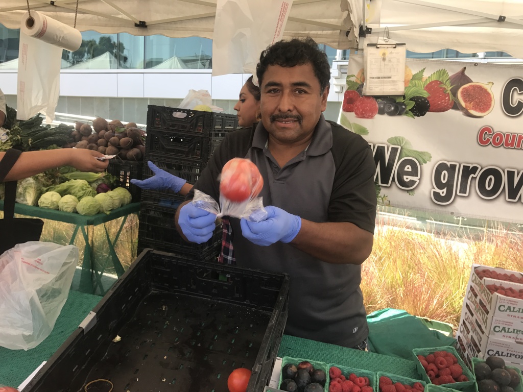A vendor with C & L Farms based in San Luis Obispo bags a tomato for a customer at the MLK hospital campus farmers market. A vendor with C & L Farms based in San Luis Obispo bags a tomato for a customer at the MLK hospital campus farmers market.