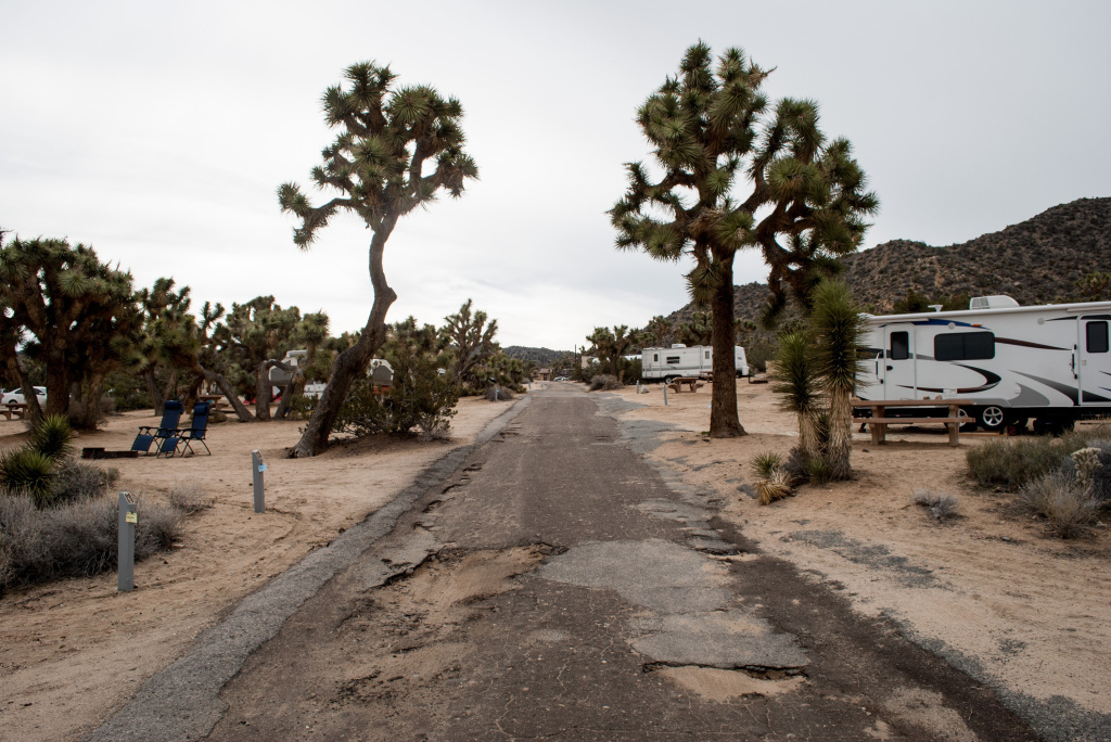 Flooding and the combined traffic of thousands of cars, trucks and RVs have torn up the roads at Joshua Tree National Park's Black Rock Canyon Campground. The majority of the park's $60 million maintenance backlog is for roads like this. Flooding and the combined traffic of thousands of cars, trucks and RVs have torn up the roads at Joshua Tree National Park's Black Rock Canyon Campground. The majority of the park's $60 million maintenance backlog is for roads like this.