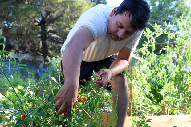 Community gardens are sprouting across LA, in vacant lots, on rooftops, and wherever people can find a little piece of earth. The gardens are more then place to grow fruit and vegetables. They are communal grounds to form friendships, share stories and build a better world.