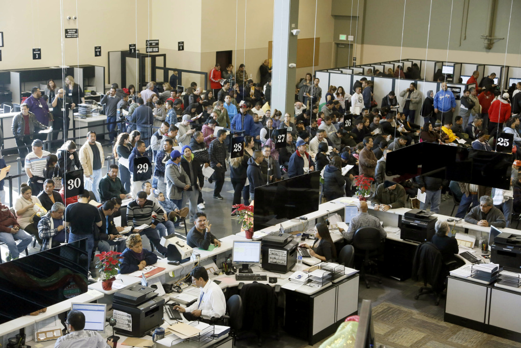 Immigrants Drivers Licenses Hundreds of immigrants line up at a California Department of Motor Vehicles office to register for drivers licenses in Stanton, on Jan. 2, 2015, the first day California began issuing driver’s licenses to the nation’s largest population of immigrants in the country illegally.