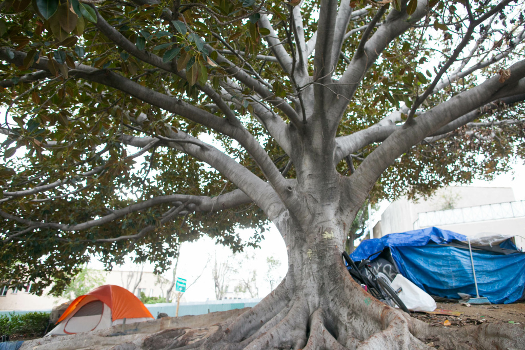 Shelter Quality Homelessnes Tents are pitched near an offramp and freeway in Hollywood, California, on Friday, March 16, 2018. Residents there say they prefer living outside to using a homeless shelter where couples will have to be separated and strict scheduling is enforced.