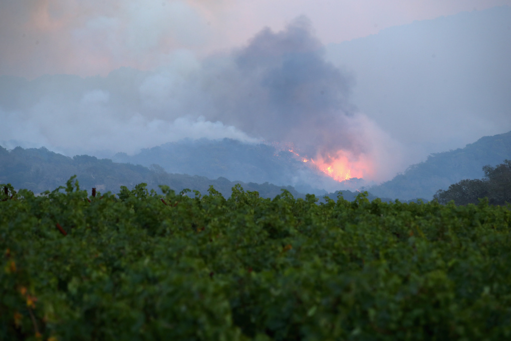 At Least 11 Dead As Multiple Wildfires Burn Through California Wine Country NAPA, CA - OCTOBER 10: A fire breaks out in the hills above a vineyard at the Atlas Fire on October 10, 2017 in Napa, California. Fifteen people have died in wildfires that have burned tens of thousands of acres and destroyed over 2,000 homes and businesses in several Northen California counties. (Photo by Ezra Shaw/Getty Images)