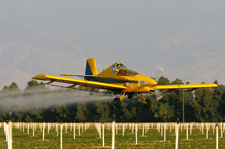 A crop duster airplane sprays Lanate, a powerful organophosphate pesticide banned in most European countries, on cotton and potato fields on May 7, 2008 near the town of Arvin, south of Bakersfield, California.