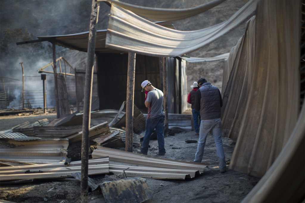 Southern California Wildfires Forces Thousands to Evacuate Workers look at collapsed stalls at Rancho Padilla, where 29 horses died on December 6, 2017 in the Creek Fire near Sylmar, California.