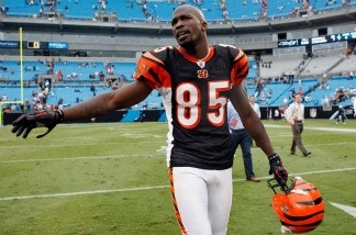 Mercer 20170 Chad Ochocinco #85 of the Cincinnati Bengals during their game against the Carolina Panthers at Bank of America Stadium on September 26, 2010 in Charlotte, North Carolina.
