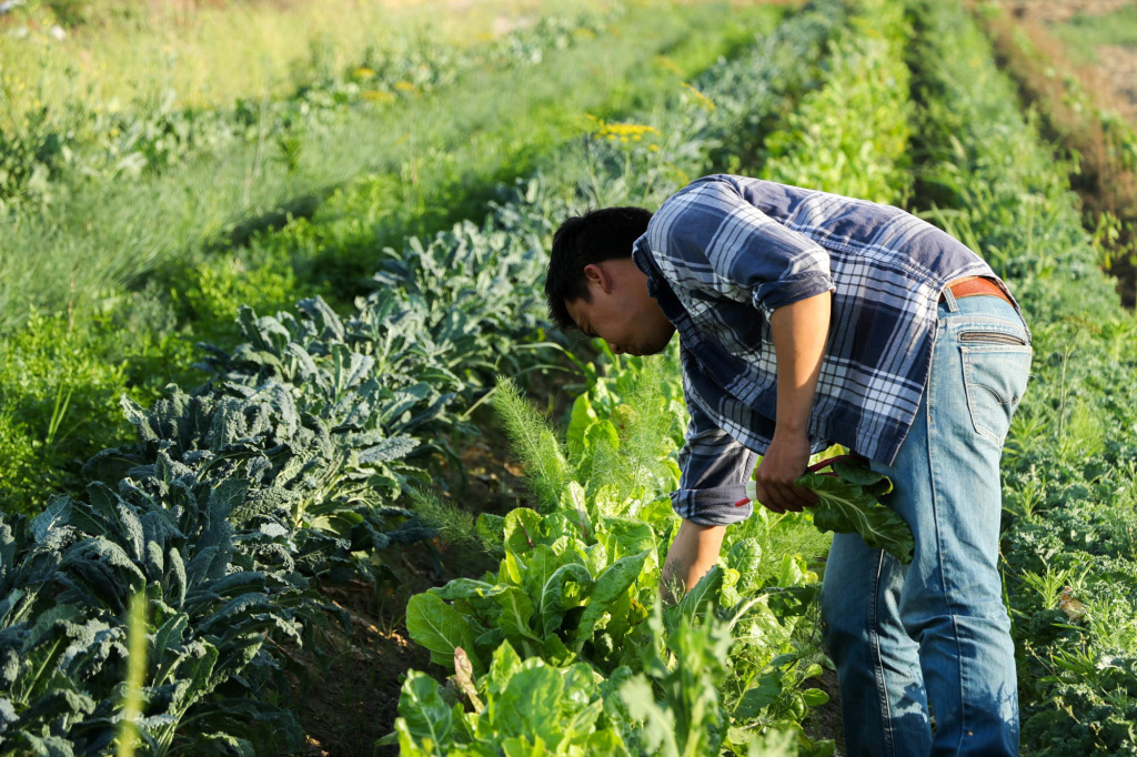 asian singles in greens farms This site offers more than 350 varieties of asian vegetable seeds, both for the home gardeners and the farm we offer only the highest quality asian vegetable seeds most of our selections. asian singles in greens farms This site offers more than 350 varieties of asian vegetable seeds, both for the home gardeners and the farm we offer only the highest quality asian vegetable seeds most of our selections.