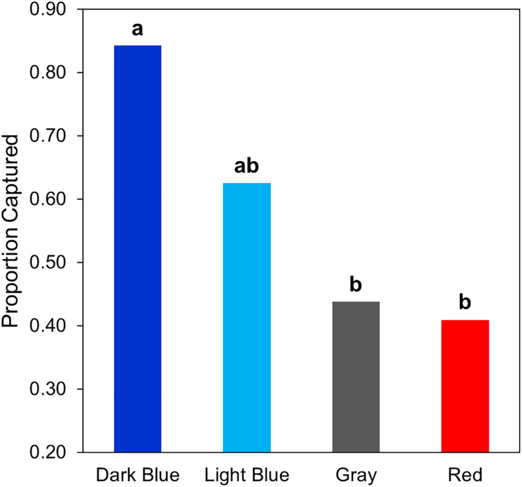 Lizards were captured at a much higher rate when Putman wore blue versus other colors. Lizards were captured at a much higher rate when Putman wore blue versus other colors.