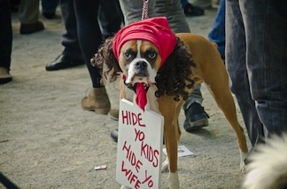 Mercer 11603 The Antoine Dogson costume for Halloween.