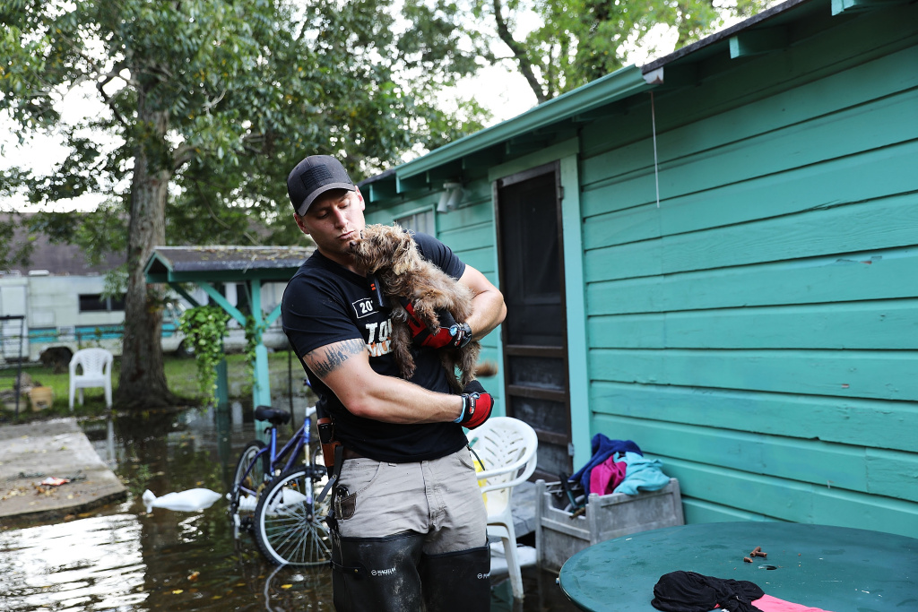 Floods Hinder Recovery Efforts In Southeast Texas Matt Murray, a volunteer with an animal rescue organization, carries a small dog he found abandoned beside a flooded home on September 5, 2017 in Orange, Texas.Thousands of pets and livestock have either run away or been left to fend for themselves after Hurricane Harvey.