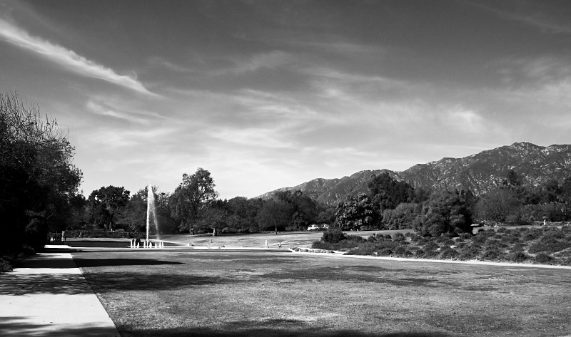 The L.A. Arboretum in Arcadia, Calif. The L.A. Arboretum in Arcadia, Calif.