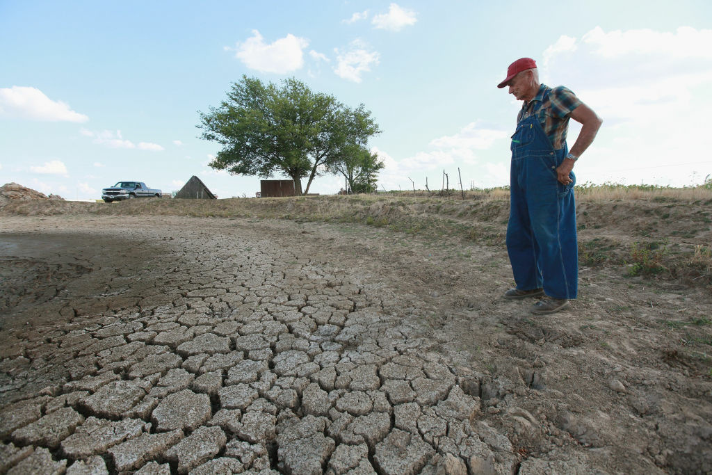 Severe Drought Threatens Midwest Corn Crops ASHLEY, IL - JULY 16: Marion Kujawa looks over a pond he uses to water the cattle on his farm on July 16, 2012 in Ashley, Illinois. Kujawa has been digging the pond deeper after it began to dry up during the current drought. According to the Illinois Farm Bureau the state is experiencing the sixth driest year on record. (Photo by Scott Olson/Getty Images)