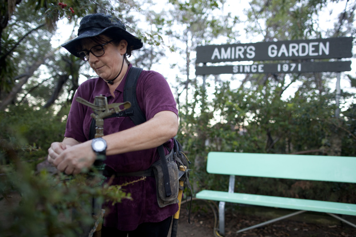 kristin sabo waters rose jade plants in amirs garden atop a hill south of mineral springs - Amirs Garden kristin sabo waters rose jade plants in amirs garden atop a hill south of mineral springs - Amirs Garden