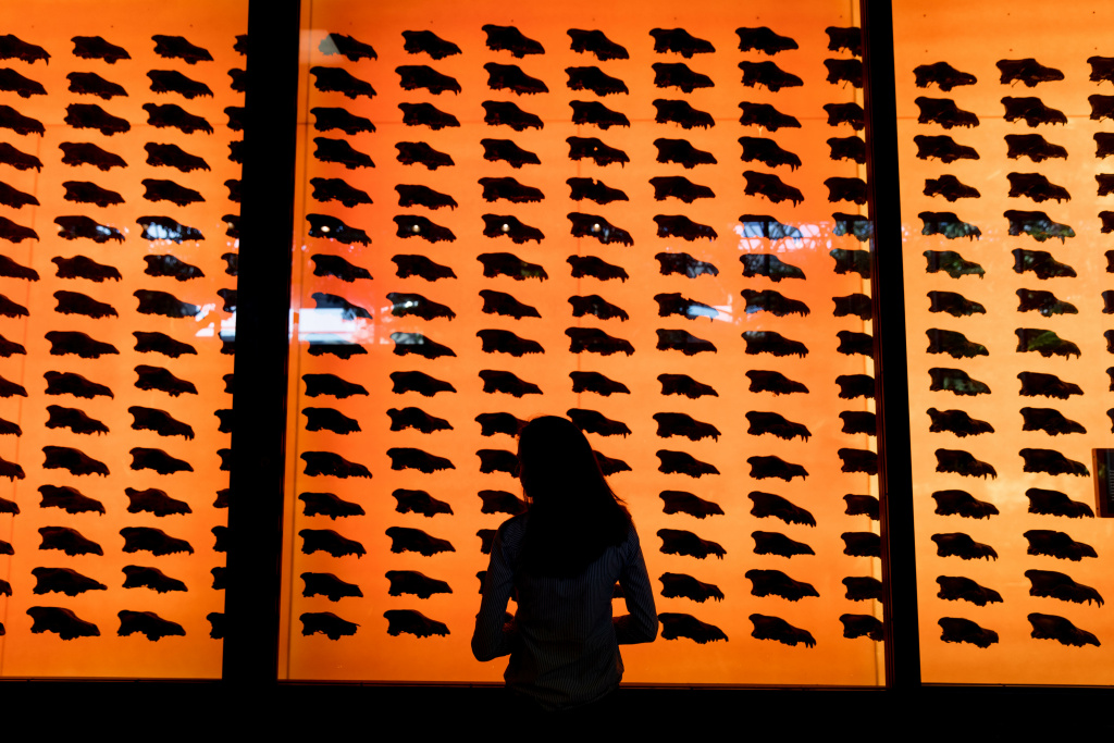 La Brea Tar Pits and Museum Some of the fossils at the La Brea Tar Pits and Museum.