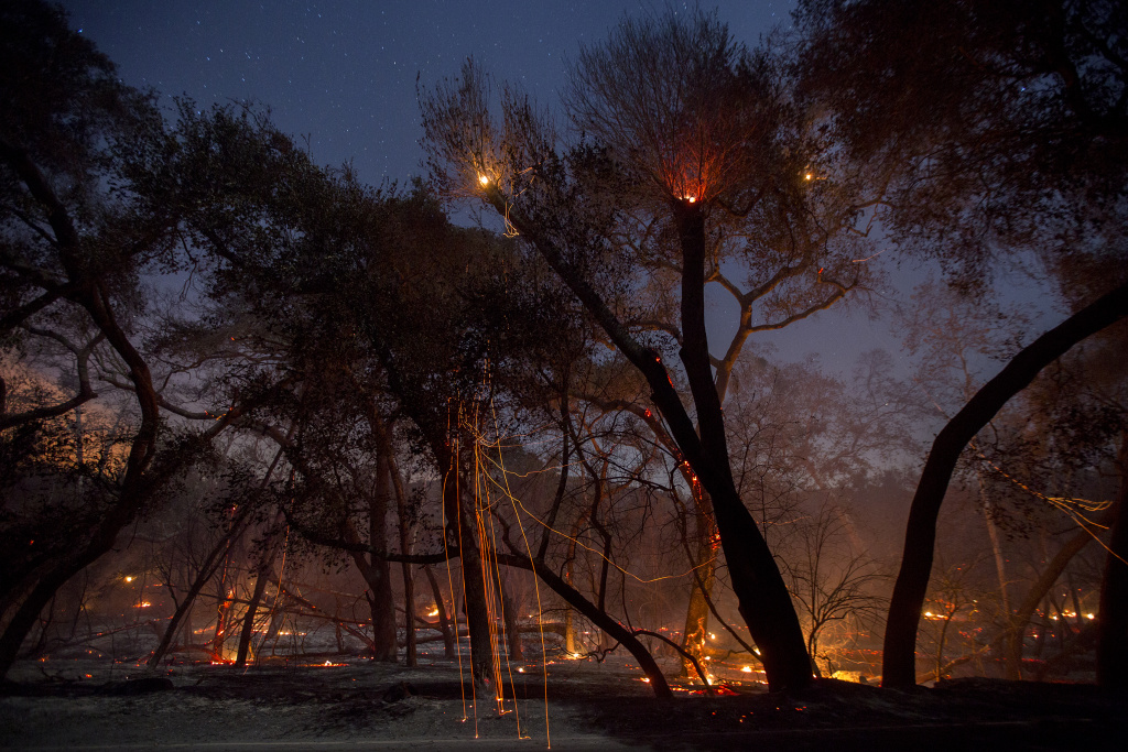 Lilac Fire stays 60 percent contained 89.3 KPCC