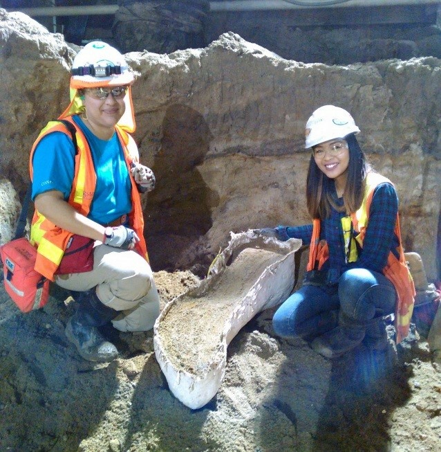 Cogstone workers place an ancient elephant bone in a plaster cast to safely remove it from the Wilshire/La Brea subway station excavation.
