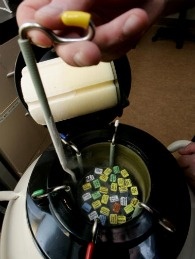 Mercer 16284 An embryologist pulls out vials of human embryos from a liquid Nitrogen storage container at for research.
