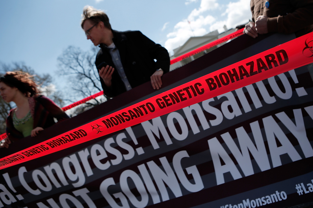 Activists Protests Against The Agriculture Industry's Lobby Influence Over Congress Activists protest against agricultural biotech company Monsanto outside the White House on March 27, 2013 in Washington, DC. Monsanto, which engineers genetically modified seeds, recently benefited from a section buried in the latest budget bill that allows the agribusiness giant to plant genetically-modified crops without judicial review to determine whether or not their crops are safe.