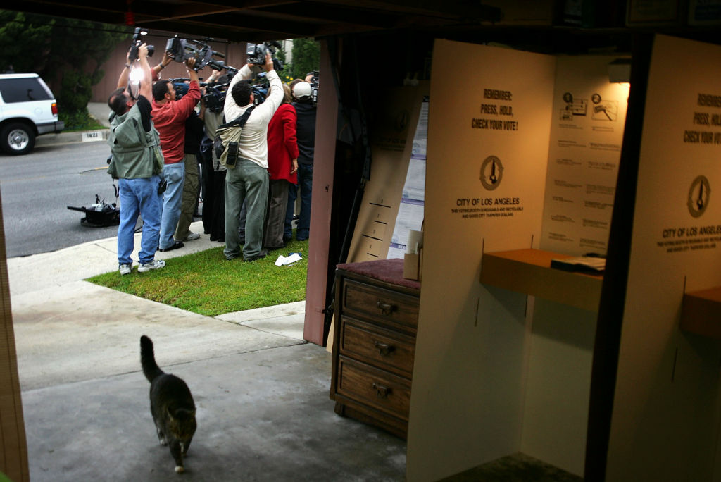 Election day slideshow A government of the cats, by the cats, for the