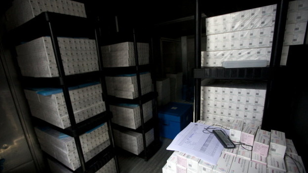 After a successful project to vaccinate Haitians against cholera, the World Health Organization is calling for the establishment of a global stockpile of the vaccine to respond to outbreaks like the one that struck Haiti.