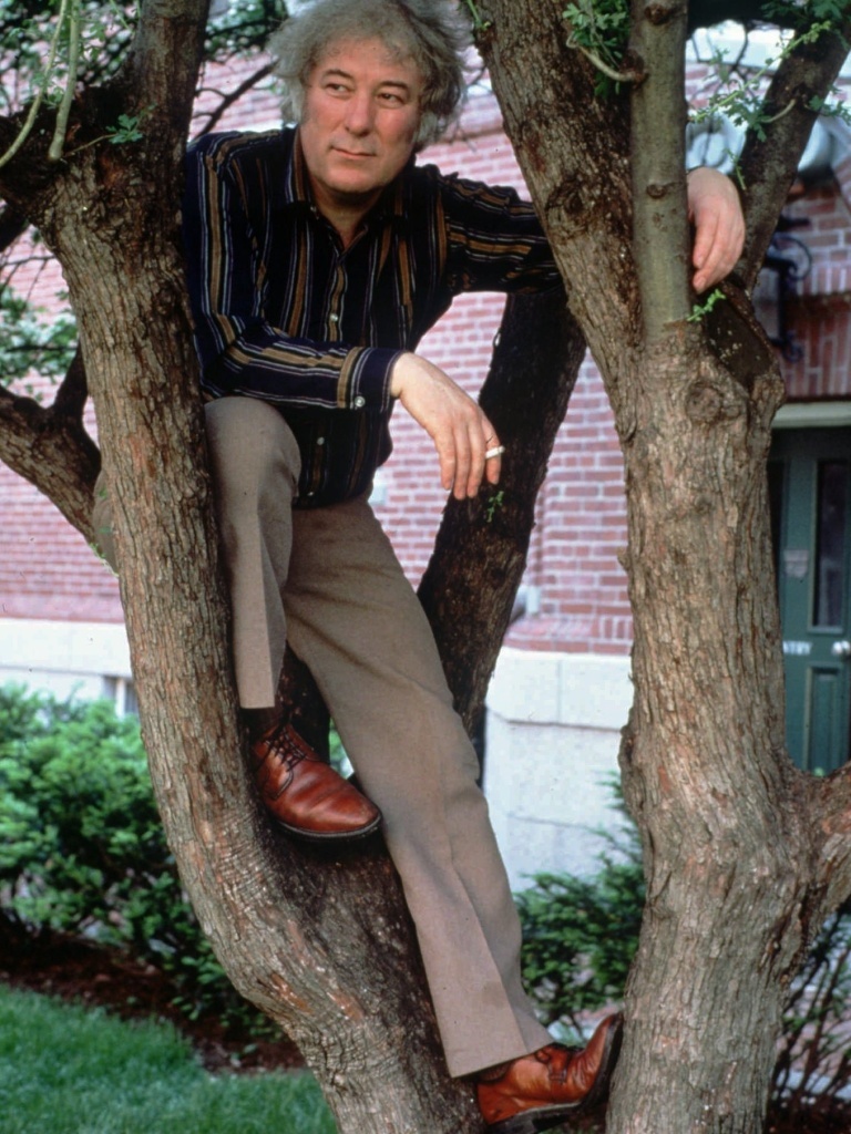 Poet Seamus Heaney, who won the Nobel Prize in literature in 1995, is seen here in a file photo from 1991, when he was a professor at Harvard. Heaney has died at age 74.