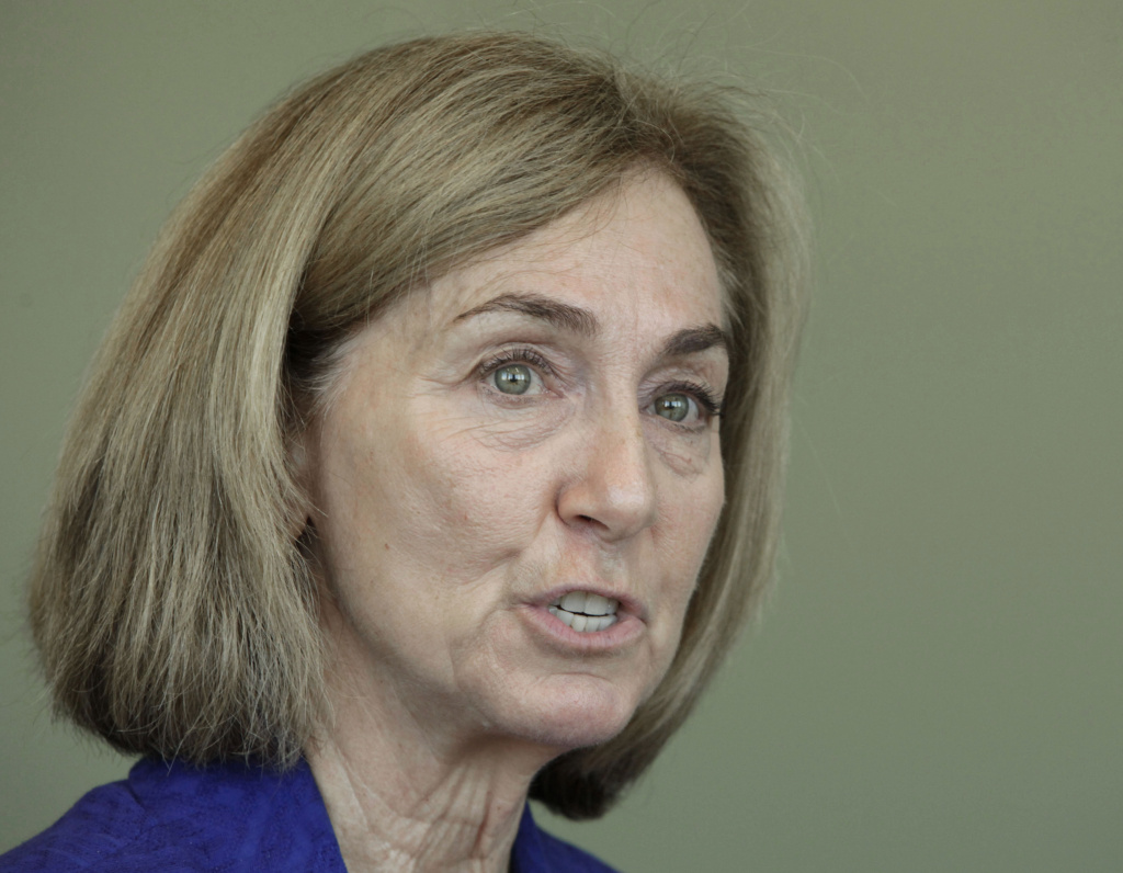 Ann Ravel, the chairwoman of the California Fair Political Practices Commission.