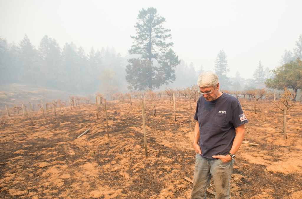 TOPSHOT-US-FIRE-CALIFORNIA Property owner Chris Schrobilgen stands in his neighbor's burned grape vineyard in Calistoga, California on October 11, 2017.
