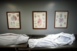 Mercer 14409 Posters showing internal body parts hang above corpes in a hallway at the Los Angeles County Coroners Office April 16, 2002 in Los Angeles, CA.