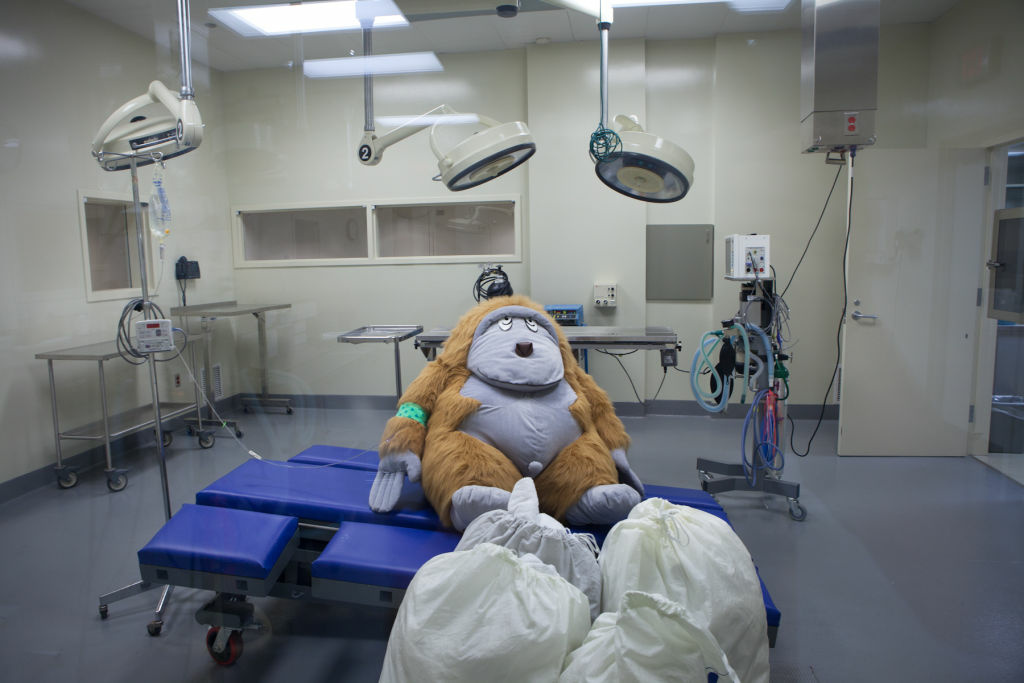 Take Two Do animals enjoy drugs and suffer diseases and disorders