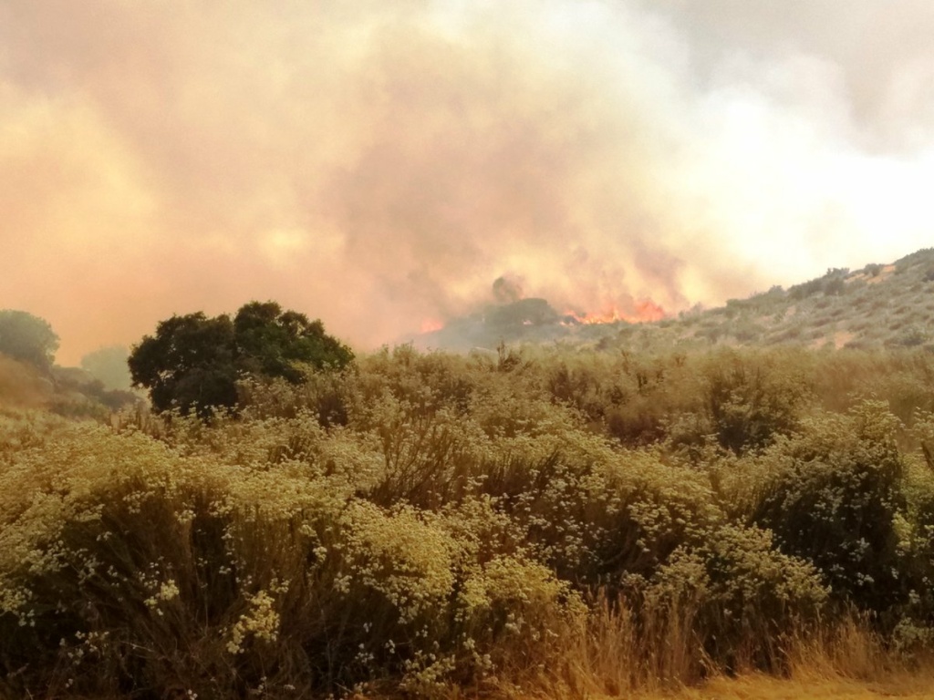 Manzanita Fire in Riverside County 'burning at a critical rate' 