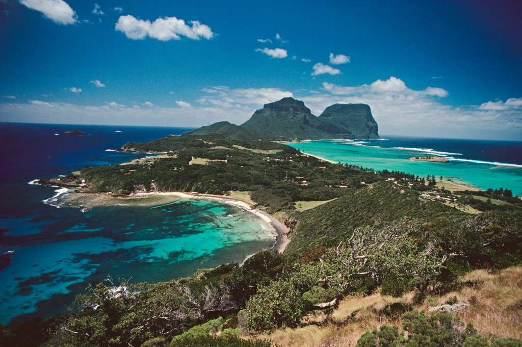 Lord Howe Island, in the South Pacific, is once again home to some of its namesake insects — but only in captivity so far. Lord Howe Island, in the South Pacific, is once again home to some of its namesake insects — but only in captivity so far.
