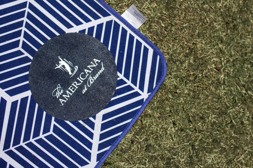 Future of Malls - Inline - 2 Picnic blankets and umbrellas are available for guests at The Americana at Brand in Glendale on Wednesday, July 20, 2016.