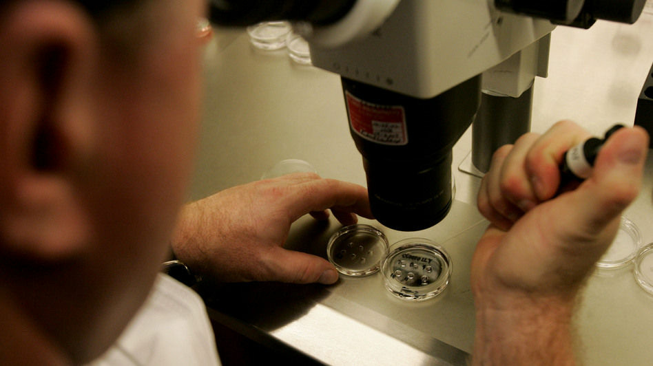 Human embryos under a microscope at an IVF clinic in La Jolla, Calif. Human embryos under a microscope at an IVF clinic in La Jolla, Calif.