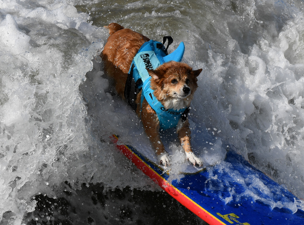 Audio 13 Awesome Things To Do This Weekend In Southern California 13 Awesome Things To Do This Weekend In Southern California April 6 8