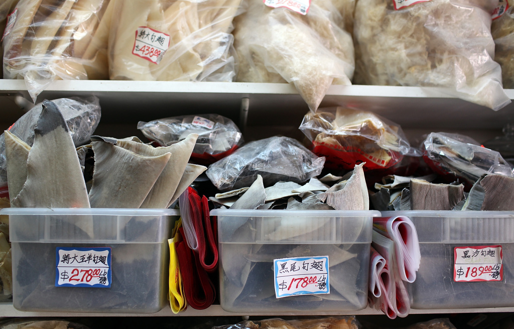 Proposed San Francisco Ban On Sale Of Shark Fins Stirs Protest And Debate Trays filled with shark fins are displayed at a store in Chinatown on August 24, 2011 in San Francisco, California. California State Assembly Bill 376 has been introduced and would ban the sale, purchase or possession of shark fins in California. Those against the bill complain that it targets a cultural institution of Chinese citizens who eat shark fin soup.