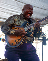 Arthur Adams performs at L.A.'s Sunset Junction Festival on August 23, 2008
